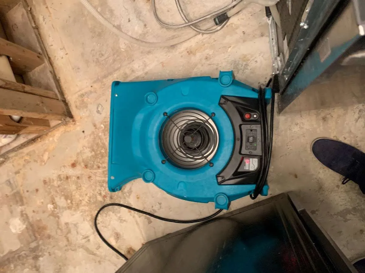 Air mover drying equipment for Mold Remediation & Removal in Granville